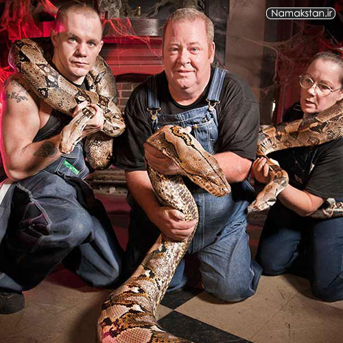 http://s7.picofile.com/file/8232788192/longest_snake_medusa_guiess_world_records_4.jpg