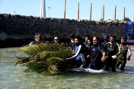 planting palm tree at the depth of 40 meters in water