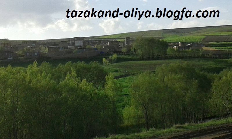 Tazakand oliya-Heris
