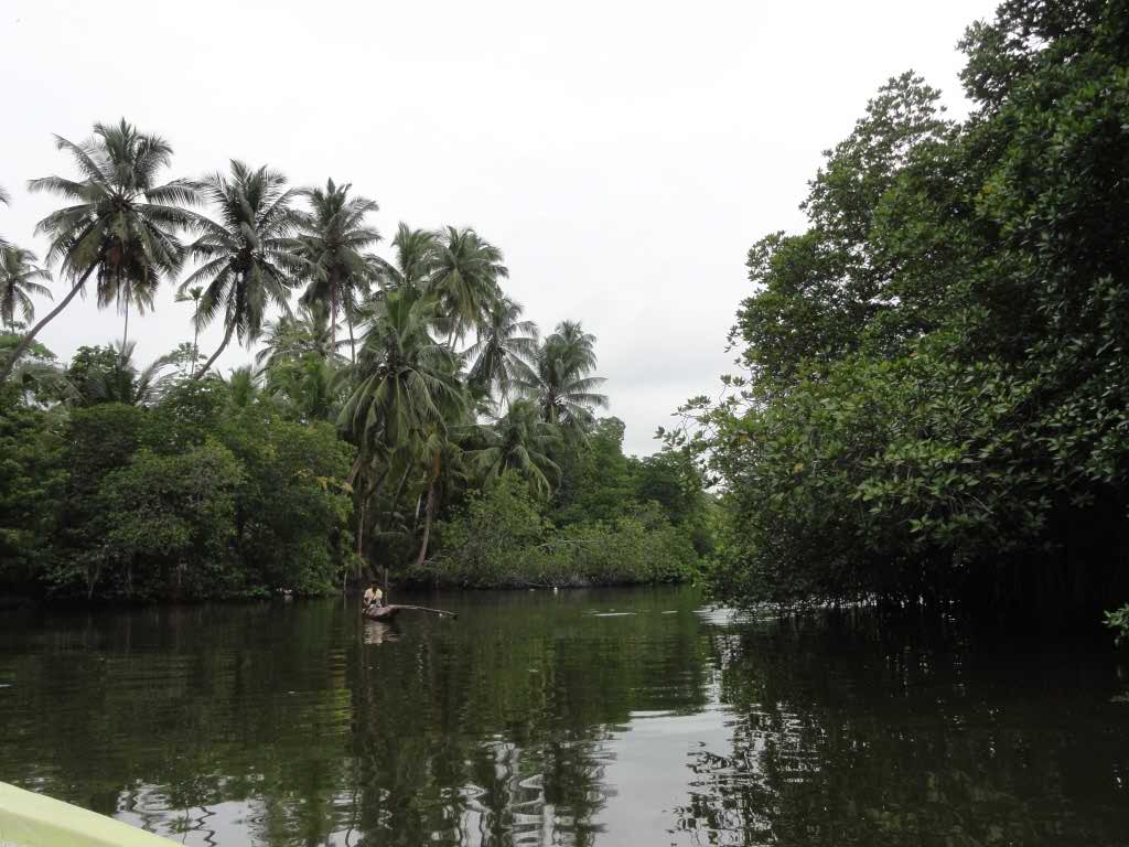 http://s7.picofile.com/file/8234717418/738.jpg