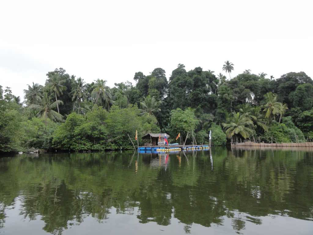 http://s7.picofile.com/file/8234717600/759.jpg