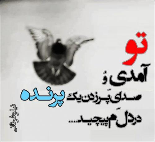 http://s7.picofile.com/file/8236432026/6e7332494d112f00c597a5e0607e61af_500.jpg