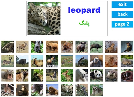 حیوانات در زبان انگلیسی