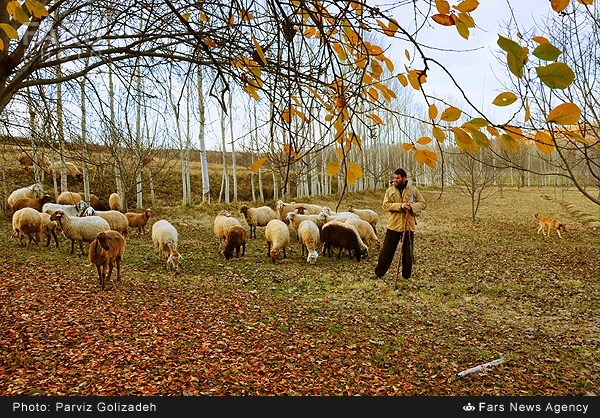 پاییز