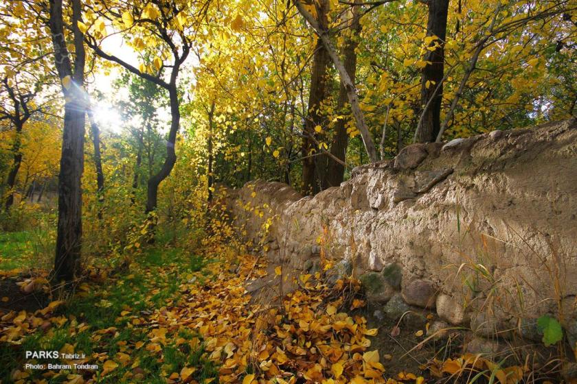 fall