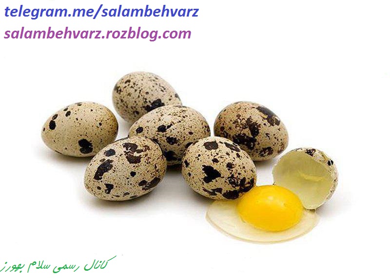 ﺗﺨﻢ ﺑﻠﺪﺭﭼﯿﻦ ﺑﻪ ﺧﺎﻃﺮ ﺗﺮﮐﯿﺐ ﺷﯿﻤﯿﺎﯾﯽ ﮐﻪ ﺩﺍﺭﺩ ﺳﺰﺍﻭﺍﺭ ﻋﻨﻮﺍﻥ «ﺑﻤﺐ ﻭﻳﺘﺎﻣﻴ ﺗﺨﻢ ﺑﻠﺪﺭﭼﯿﻦ ﺑﻪ ﺧﺎﻃﺮ ﺗﺮﮐﯿﺐ ﺷﯿﻤﯿﺎﯾﯽ ﮐﻪ ﺩﺍﺭﺩ ﺳﺰﺍﻭﺍﺭ ﻋﻨﻮﺍﻥ «ﺑﻤﺐ ﻭﻳﺘﺎﻣﻴ