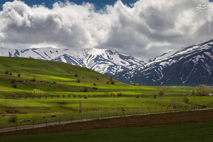 orumiyeh