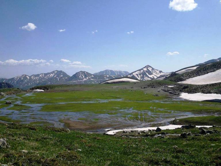 سردشت