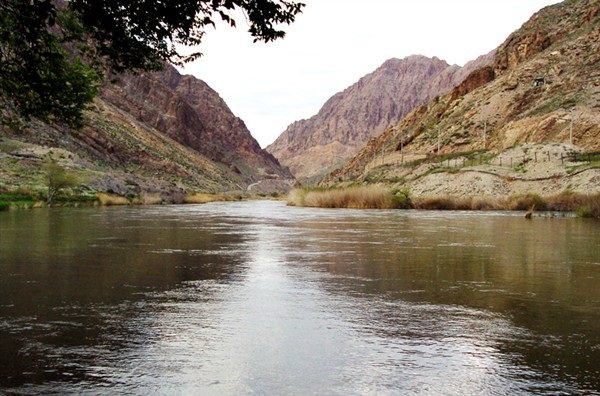 محیط زیست ارس