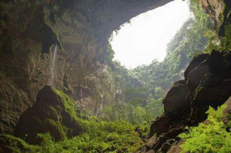 غار جنگل پسر دونگا 