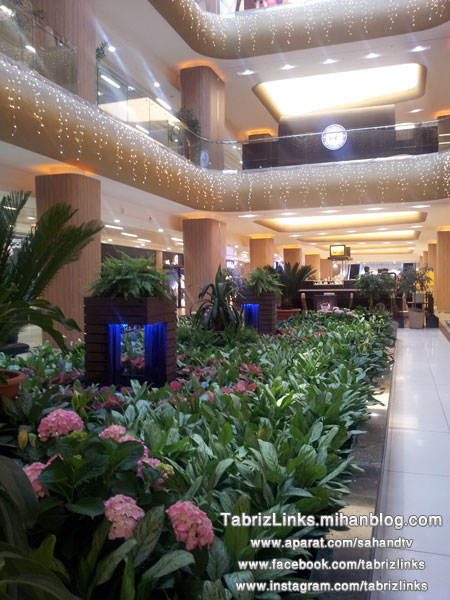 tabriz