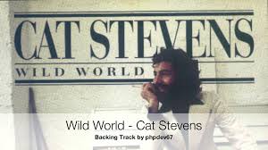 Cat Stevens - Wild World 