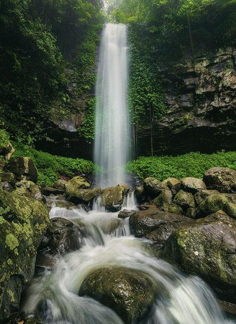 عکاسی در جنگا را یاد بگیرید + آموزش