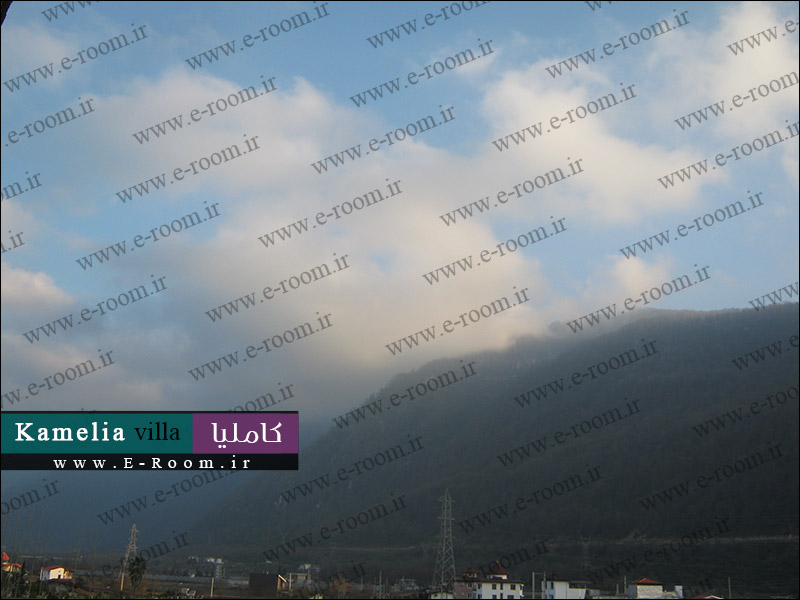 ویلا جنگلی لوکس vacation villa