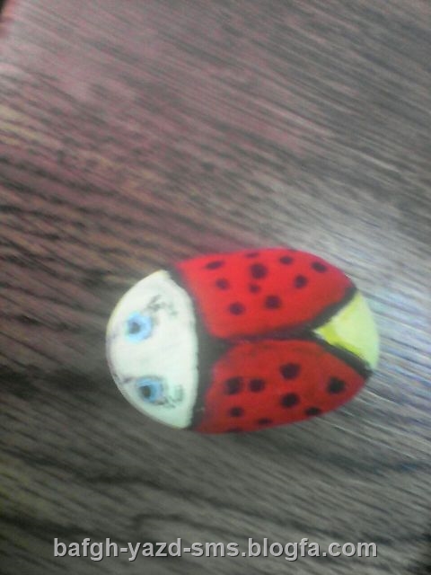 گوواش و سنگ