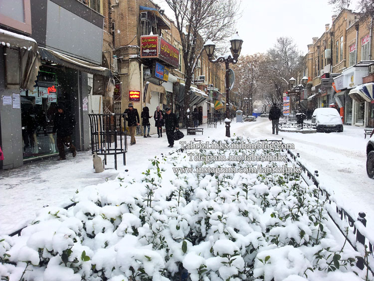 تبریز