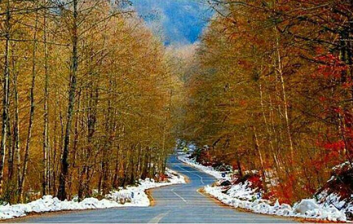 جاده ای زیبابه سمت دامغان - استان مازندران