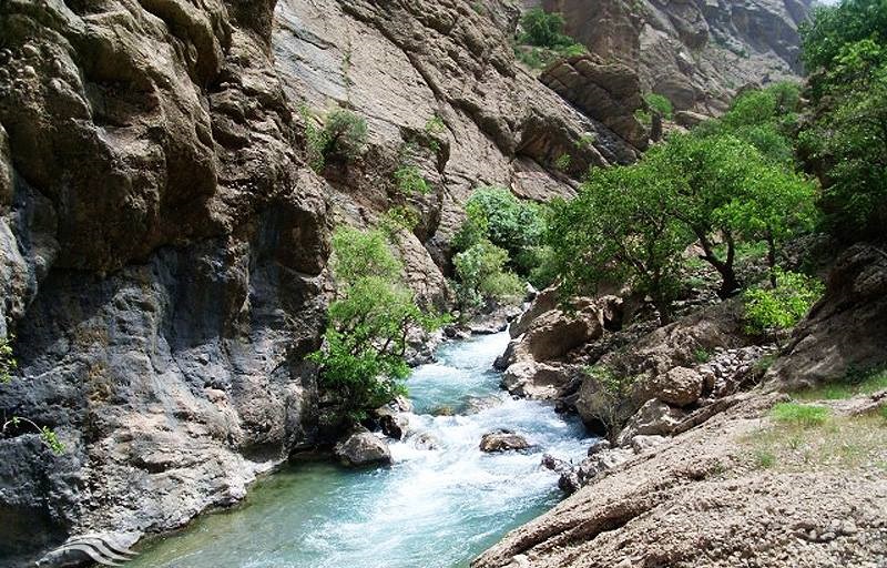 دره نی گاه - دورود - استان لرستان