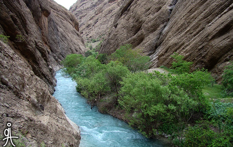 دره نی گاه - دورود - استان لرستان