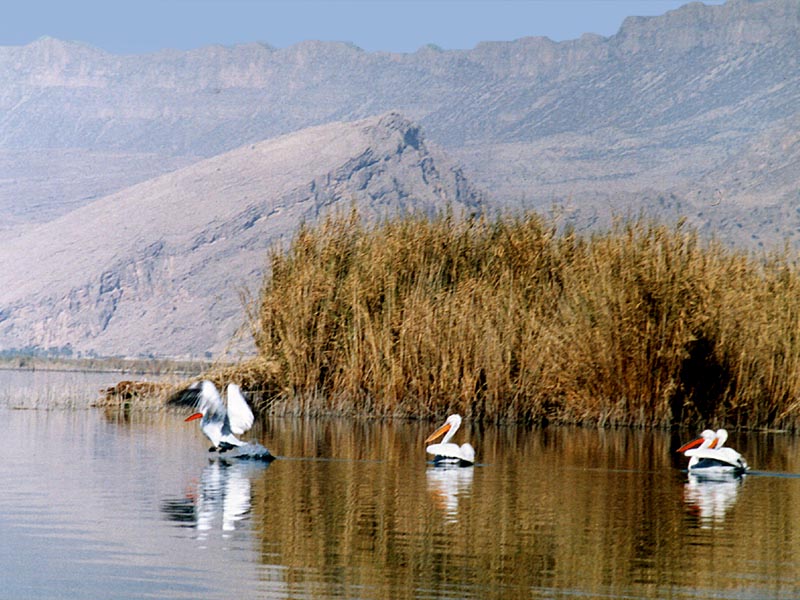 دریاچه پریشان - شهرستان کازرون - استان فارس
