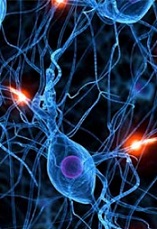 دانلود مقاله سیستم های مبتنی بر شبکه عصبی