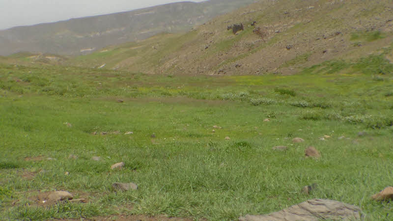 مرتع آغ دره مجارشین مرتع آغ دره مجارشین