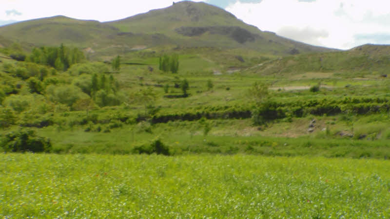 اوریان داغی مجارشین اوریان داغی مجارشین