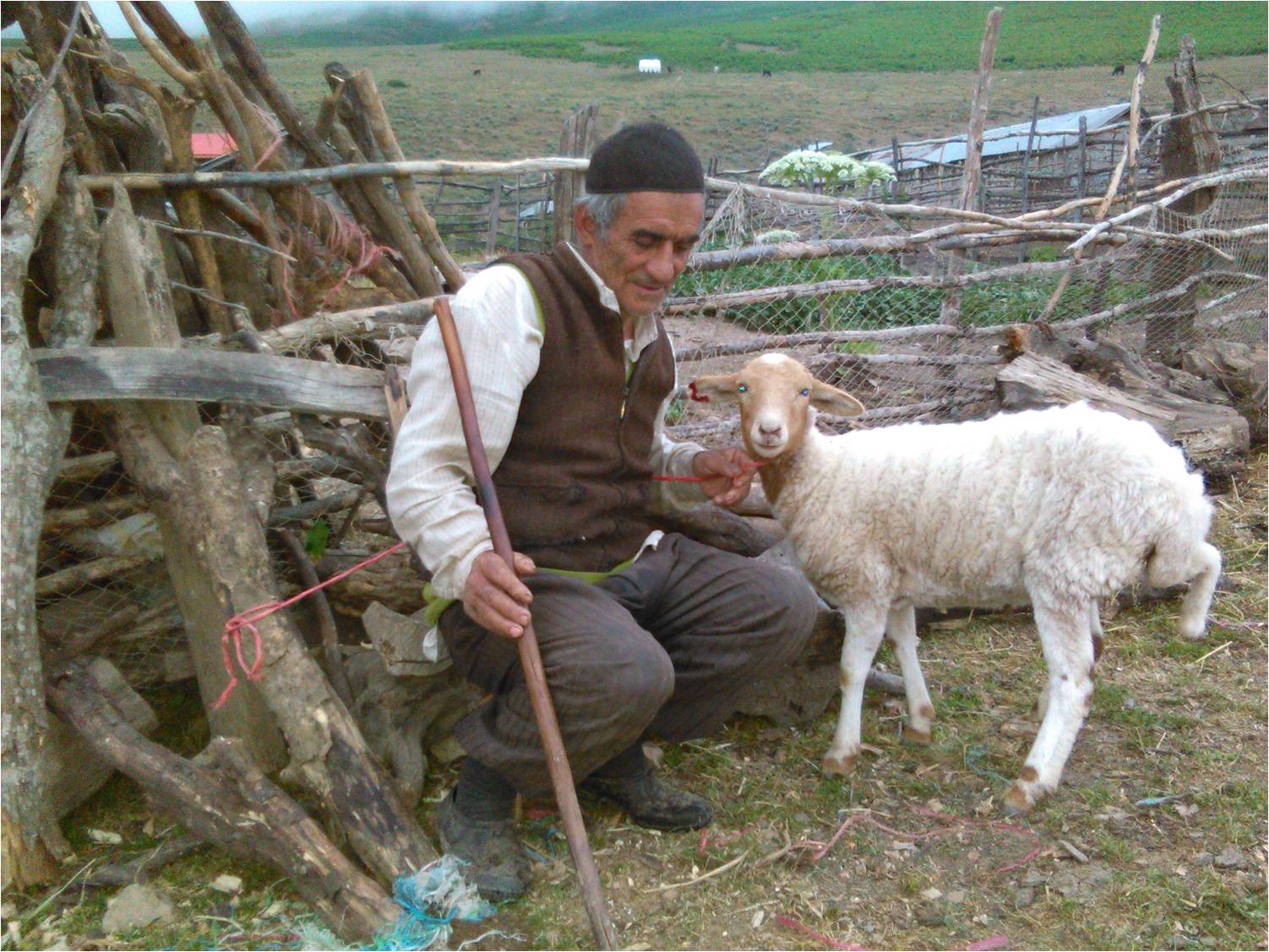 روستای سرسبز شولم