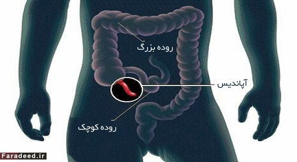 http://s7.picofile.com/file/8244997618/%D8%A2%D9%BE%D8%A7%D9%86%D8%AF%DB%8C%D8%B3.jpg