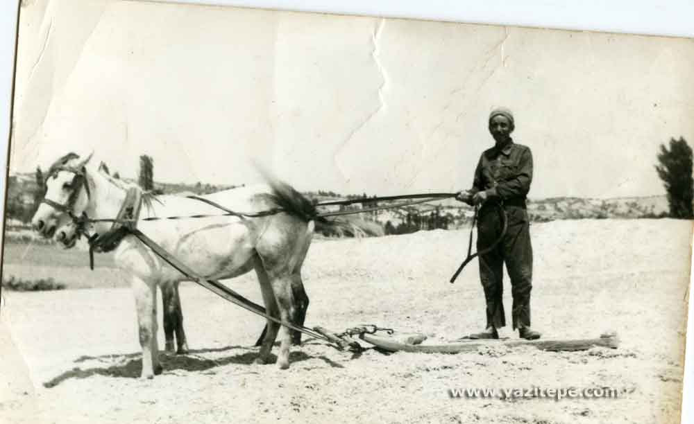 ول سورماخ در آذربایجان خرمن کوبی سنتی در مجارشین