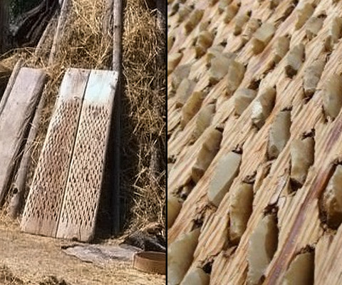خرمن کوبی سنتی (هُلا سورماخ ) در روستای مجارشین و ابزارهای مورد استفاده در آن File:خرمن کوبی سنتی (هُلا سورماخ ) در روستای مجارشین ۶.jpeg