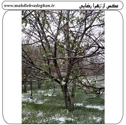 http://s7.picofile.com/file/8245654826/%D8%B1%D9%88%D8%B2_%D8%B7%D8%A8%DB%8C%D8%B9%D8%AA_%D9%88%D8%A7%D8%AF%D9%82%D8%A7%D9%8695_jpg10.jpg