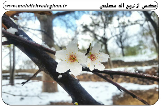 http://s7.picofile.com/file/8245654900/%D8%B1%D9%88%D8%B2_%D8%B7%D8%A8%DB%8C%D8%B9%D8%AA_%D9%88%D8%A7%D8%AF%D9%82%D8%A7%D9%8695_jpg6.jpg