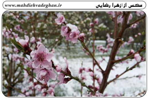 http://s7.picofile.com/file/8245655000/Untitled_2.jpg