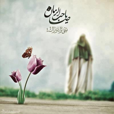 Shia muslim
