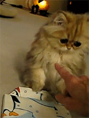 http://s7.picofile.com/file/8246614868/53597123486761728077.gif