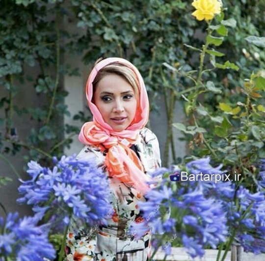 http://s7.picofile.com/file/8246869334/www_bartarpix_ir_shabnam_gholikhani_farvardin_95_3_.jpg
