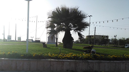 http://s7.picofile.com/file/8246950768/37168.jpg
