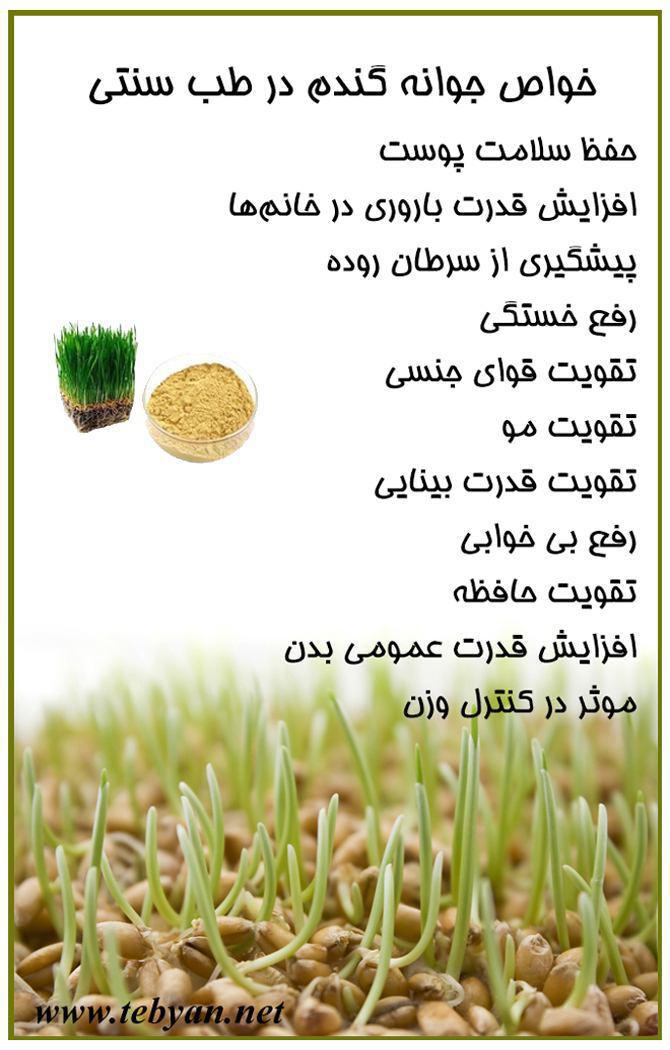 http://s7.picofile.com/file/8247411568/photo_2016_04_16_12_25_113.jpg