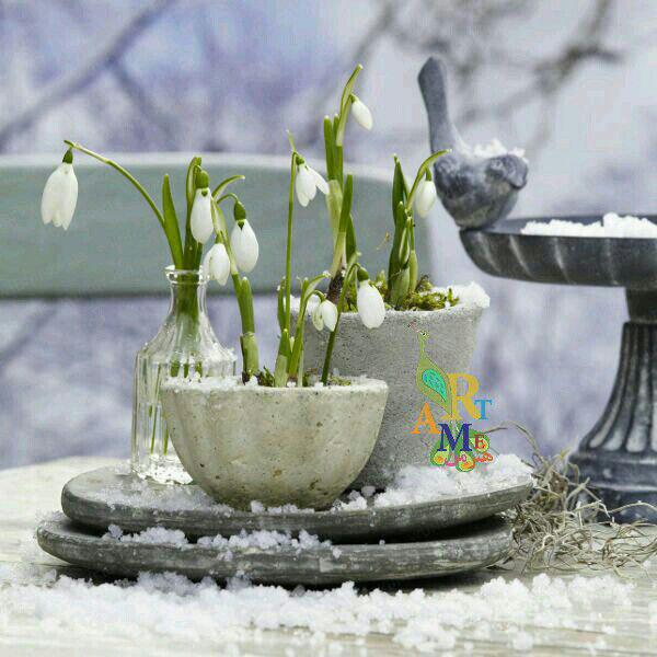 http://s7.picofile.com/file/8248151834/photo_2016_04_21_18_28_28.jpg