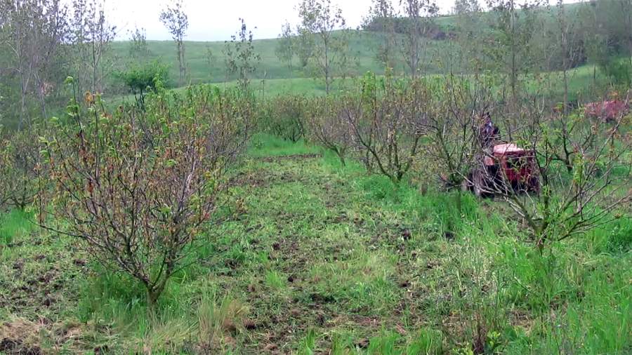 9_11_.jpg (900×506)