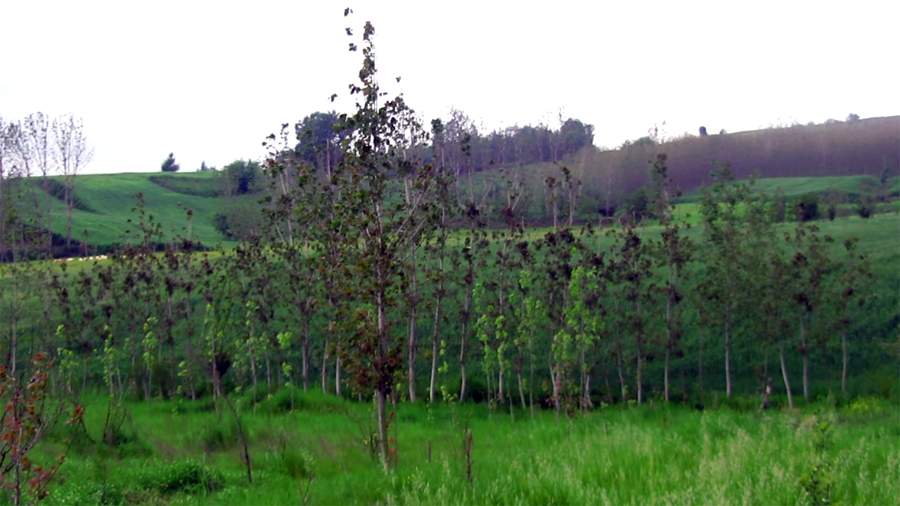 9_14_.jpg (900×506)