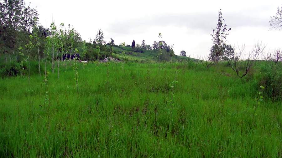 9_18_.jpg (900×506)