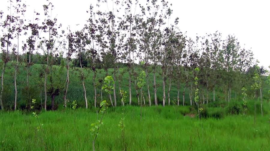 9_19_.jpg (900×506)