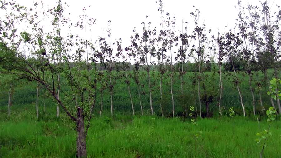 9_20_.jpg (900×506)