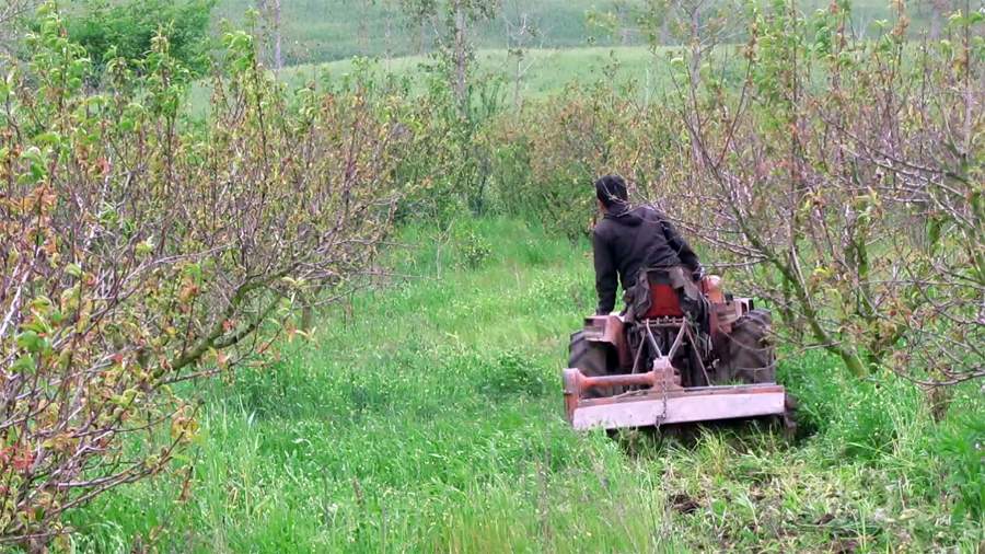 9_23_.jpg (900×506)