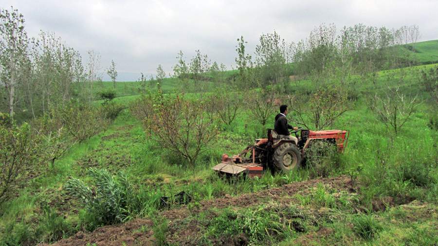 9_28_.JPG (900×506)