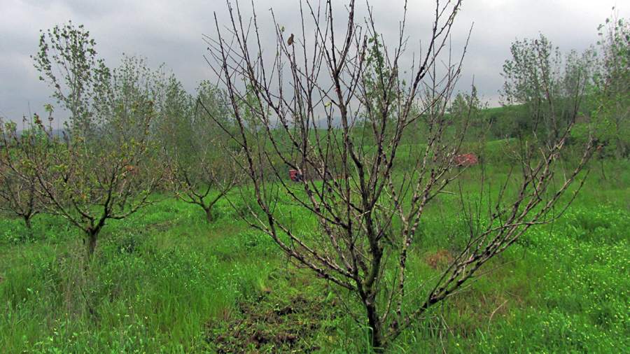 9_29_.JPG (900×506)