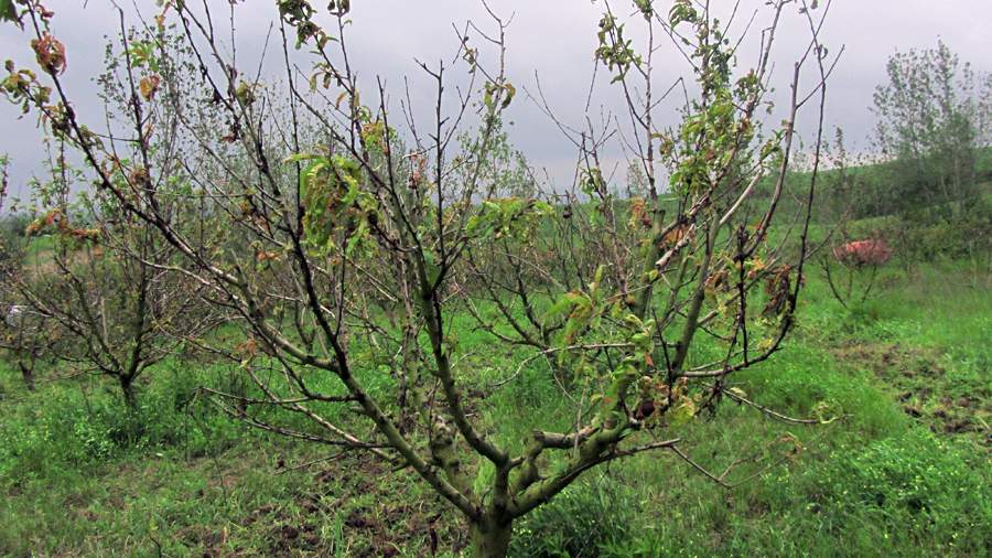 9_33_.JPG (900×506)