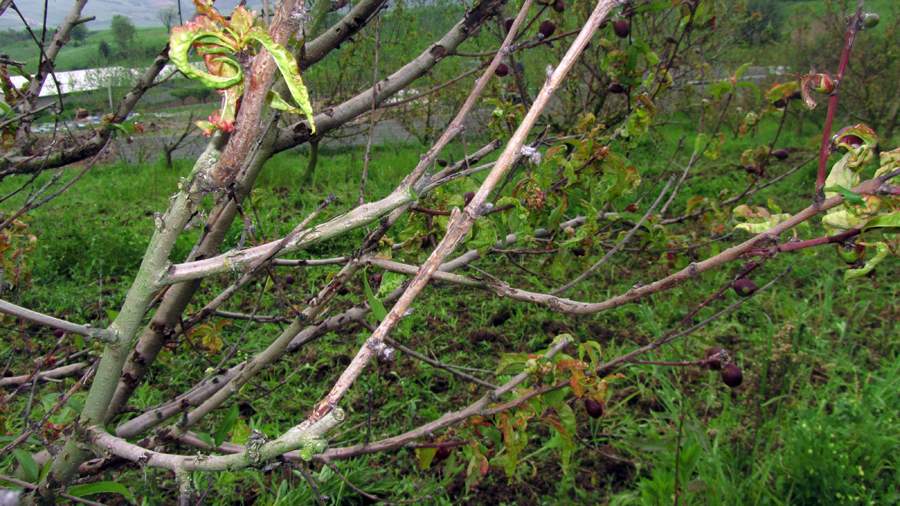 9_36_.JPG (900×506)